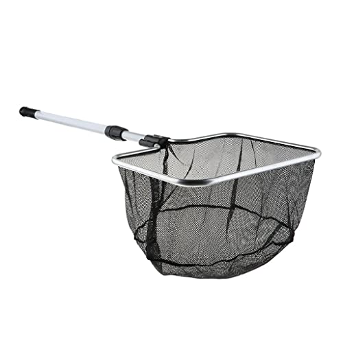 predolo Fischernetz mit verstellbarem Griff für Aquarien - Hochwertiges Fangnetz für Fische und Garnelen, M von predolo