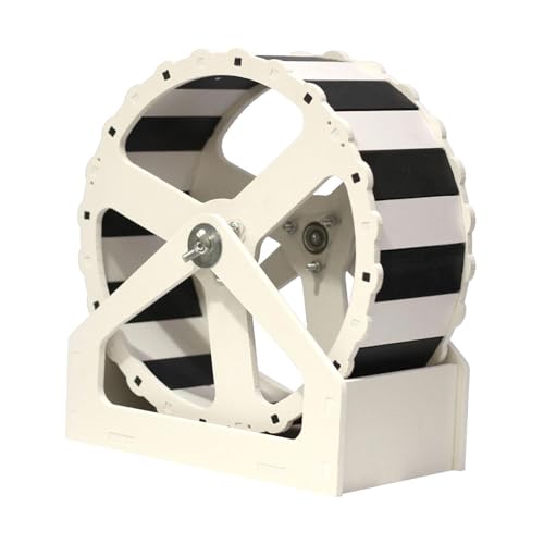 predolo Hamster-Laufrad, Haustier-Laufspielzeug, einfache Installation, Heimübungsrolle für Kätzchen, Igel, Rennmäuse, Zubehör, 31cm predolo Hamster-Laufrad, Haustier-Laufspielzeug, einfache Installation, Heimübungsrolle für Kätzchen, Igel, Rennmäuse, Zubehör, 31cm von predolo