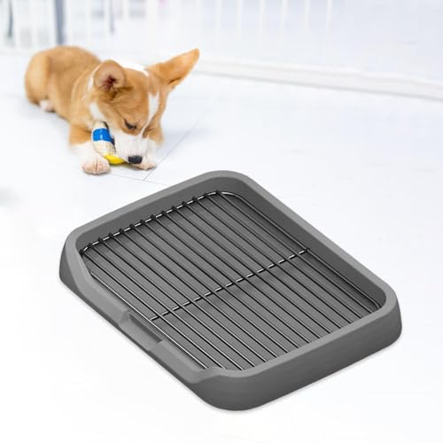 predolo Haustier-Toilette, Tragbare Hundepfanne für alle Hundegrößen, grau predolo Haustier-Toilette, Tragbare Hundepfanne für alle Hundegrößen, grau von predolo