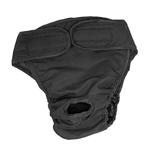 predolo Hundeschutzhose für Rüden - Bequeme Baumwollhose für den Schutz Ihres Rüden, Schwarz, S predolo Hundeschutzhose für Rüden - Bequeme Baumwollhose für den Schutz Ihres Rüden, Schwarz, S von predolo