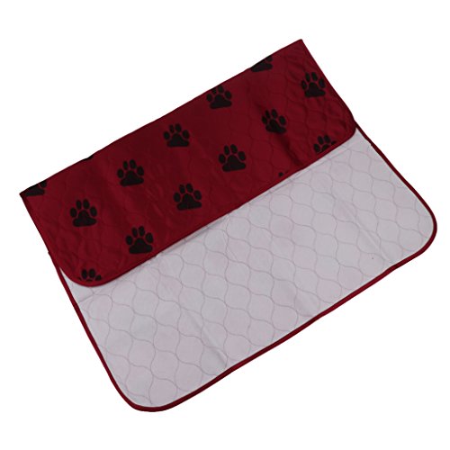 predolo Hundetrainingsmatte für die Sauberkeit - Absorbierende Pads für Hunde und Welpen, Lila M predolo Hundetrainingsmatte für die Sauberkeit - Absorbierende Pads für Hunde und Welpen, Lila M von predolo