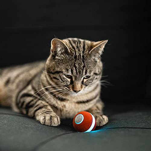 predolo Intelligente Fernbedienung Hundespielzeug mit LED-Beleuchtung, 42mm von predolo