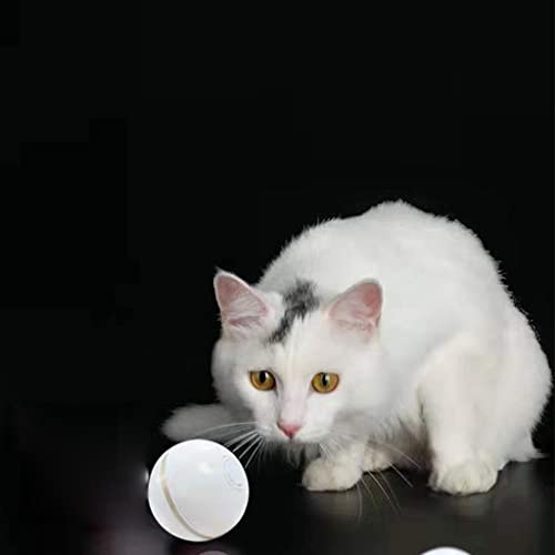 predolo LED Spielzeugball für Haustiere, Interaktives Hundespielzeug mit Fernbedienung - Blau von predolo