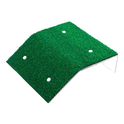 predolo Plattform für Schildkröten zum Entspannen, Leiter für Amphibien, 20cm Breite von predolo