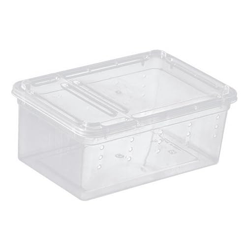 predolo Reptilien-Futterbox, Transportbehälter für Schildkröten, tragbares kleines, durchsichtiges Reptilien-Terrarium für Seidenraupen, Frösche, Igel, Weiß von predolo