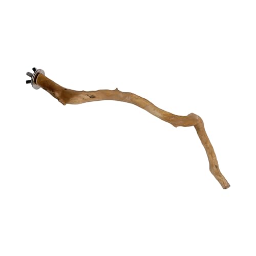predolo Sitzstange Stand Vogel Stand Plattform Käfig Spielzeug Papagei Stand Zweig, Gebogen predolo Sitzstange Stand Vogel Stand Plattform Käfig Spielzeug Papagei Stand Zweig, Gebogen von predolo