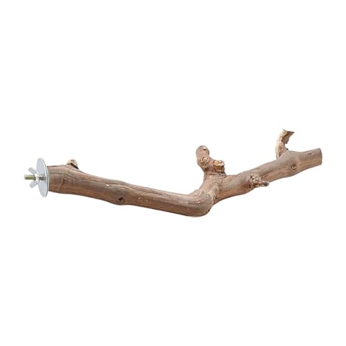 predolo Sitzstange aus Holz mit Saugnapf, Sitzstange für Fenster und Dusche, Spielzeug für Papageienkäfige, Sitzstange für Unzertrennliche, 35CM predolo Sitzstange aus Holz mit Saugnapf, Sitzstange für Fenster und Dusche, Spielzeug für Papageienkäfige, Sitzstange für Unzertrennliche, 35CM von predolo