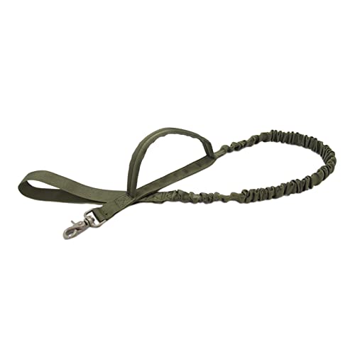 predolo Verstellbare Nylon-Hundeleine mit sicherem Bungee-Training und Metallschnalle für Spaziergänge und Joggen, Dunkelgrün predolo Verstellbare Nylon-Hundeleine mit sicherem Bungee-Training und Metallschnalle für Spaziergänge und Joggen, Dunkelgrün von predolo