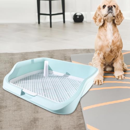 predolo Welpentoilette, für Kleine Und Mittelgroße Hunde, Zubehör für Drinnen Und Draußen, Erhöhtes Gehege, Hundetoilette, Haustierurinal, GrÜn predolo Welpentoilette, für Kleine Und Mittelgroße Hunde, Zubehör für Drinnen Und Draußen, Erhöhtes Gehege, Hundetoilette, Haustierurinal, GrÜn von predolo