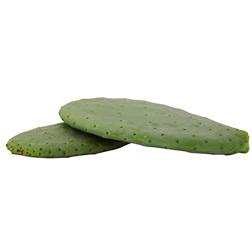 2kg Opuntien (Opuntia) | Kaktusblätter | Futterpflanze | Schildkrötenfutter von proinsects