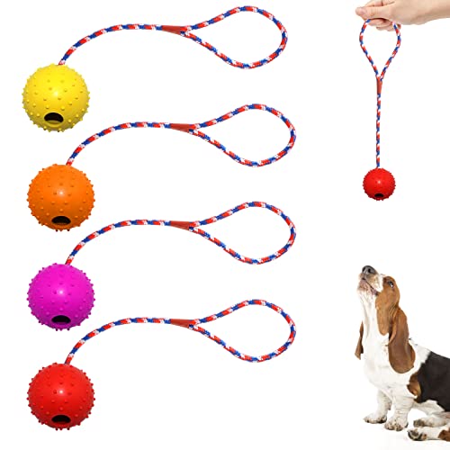 Wurfball Hund, 4 Stück Ball mit Seil Naturkautschuk Ball für Hunde Hundespielzeug Ball Hundeball Weich und Elastisch Vollgummiball für Große & Kleine Hunde Werfen Zufällige Farbe von prota