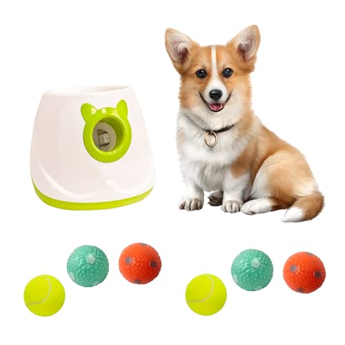 ptlsy Automatischer Hundeballwerfer, interaktiver Welpen-Haustierball, Indoor-Wurfmaschine für kleine und mittelgroße Hunde, 3 Bälle enthalten (5,1 cm) (Weiß 2, Launcher mit 6 Ball) von ptlsy