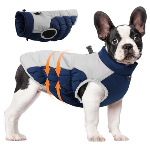 ptumcial Hunde Wintermantel wasserdes Warmer Hundebel mit Gurt Reflexion Reißverschluss auf Hunde und kaltes Wetter gemütlicher Baumwollschicht 2XL von ptumcial