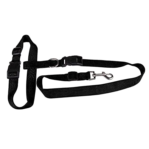 1PC Einstellbare Nylon Haustier Led Hund Halsband Harness Für Kleine Zubehör Laufen Joggen Leine Sport welpe Gehen Produkt Hund von pulunto