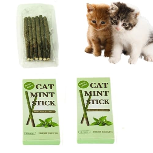 6 Stäbchen/Box, Minzstab, Gallenfrucht, Backenzähnenstab für Katzen, Zahnreinigung, Spielzeug, Behandlung neuer Haustierbedarf, 2024 Indoor-Sticks für Katzen, Kauspielzeug, Katzen, Kauspielzeug, 6 Stäbchen/Box, Minzstab, Gallenfrucht, Backenzähnenstab für Katzen, Zahnreinigung, Spielzeug, Behandlung neuer Haustierbedarf, 2024 Indoor-Sticks für Katzen, Kauspielzeug, Katzen, Kauspielzeug, von pulunto