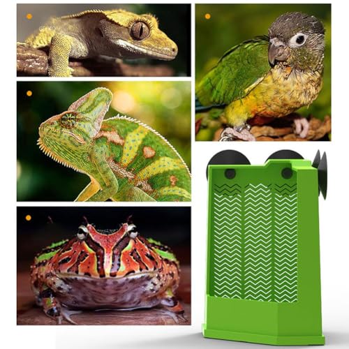 pulunto Bartdrachen-Futterstation, Eck-Futterstation für Reptilien, Wandmontage, Terrarium-Futterstation mit Saugnäpfen für Eidechse, Lguana, Gecko, Bartdrache pulunto Bartdrachen-Futterstation, Eck-Futterstation für Reptilien, Wandmontage, Terrarium-Futterstation mit Saugnäpfen für Eidechse, Lguana, Gecko, Bartdrache von pulunto