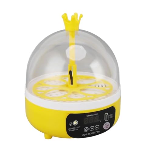 Vollautomatische Eier-Drehschale für Vögel, kleine Enteneier, Brutkasten für Geflügelzucht Vollautomatische Eier-Drehschale für Vögel, kleine Enteneier, Brutkasten für Geflügelzucht von pumpumlia