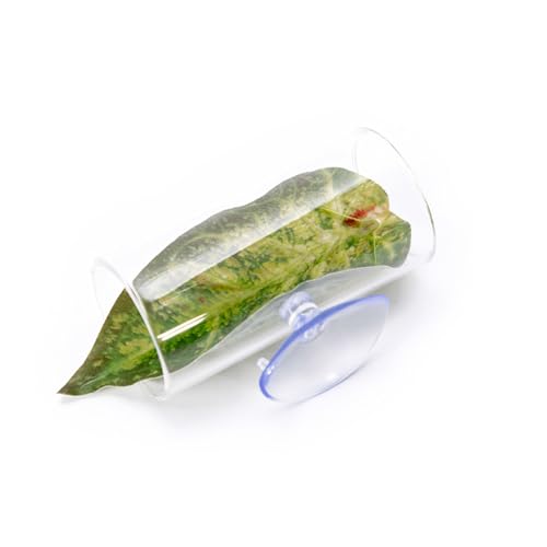 pumpumlia Aquarium-Dekoration für Aquarien, vielseitig und bunt, künstliche Blätter für Aquarien, Terrarien, Aquarium-Dekorationen, groß, klein von pumpumlia