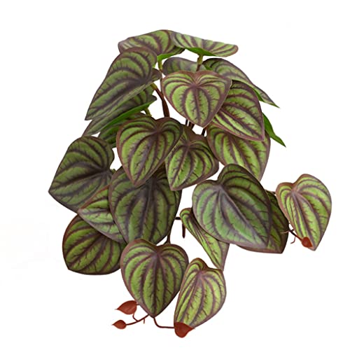 pumpumlia Terrarium Kunstpflanze für Amphibien für Haustier Lebensraum Dekorationen Blätter 10 Sty pumpumlia Terrarium Kunstpflanze für Amphibien für Haustier Lebensraum Dekorationen Blätter 10 Sty von pumpumlia