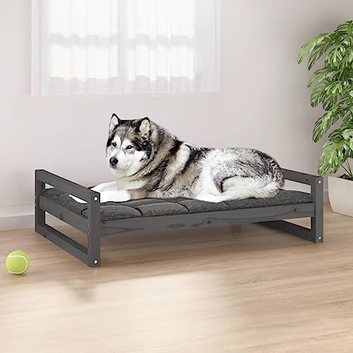 puraday Hundebett Grau 105,5x75,5x28 cm Massivholz Kiefer Hundebetten Katzenbett Dog Bed Hundehütte Indoor Cat Bed Bequeme Haustierbett Im Wohnzimmer Oder Schlafzimmer Platziert Zeitloses Design von puraday