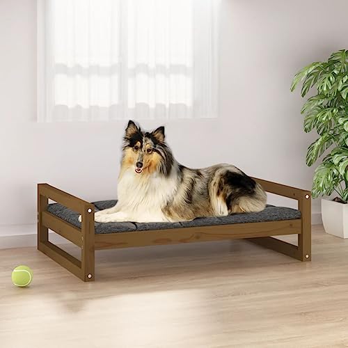 puraday Hundebett Honigbraun 95,5x65,5x28 cm Massivholz Kiefer Hundebetten Katzenbett Dog Bed Hundehütte Indoor Cat Bed Bequeme Haustierbett Im Wohnzimmer & Schlafzimmer Platziert Zeitloses Design von puraday