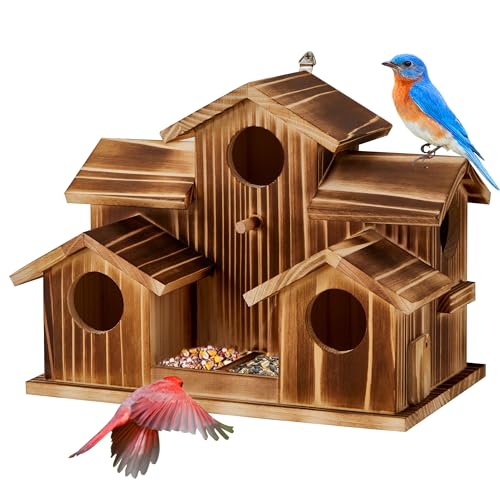 Puyikes Großes Vogelhaus für draußen mit Vogelfutterstation, für den Außenbereich, 5 Löcher, Vogelhaus für 5 Vogelfamilien, Haus für Bluebird Finken, Kardinäle, hängendes Vogelhaus für den Garten von puyikes