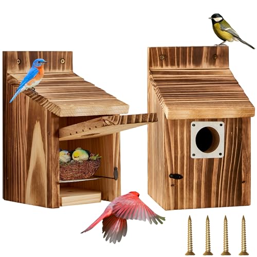 puyikes Vogelhäuser für den Außenbereich, Vogelhäuser aus Holz mit großem Eingangsloch, mit Metall-Raubfischschutz, sicherer Riegel, Jungfrillen, Lüftungsschlitze, geeignet für Bluebird-Zaun, puyikes Vogelhäuser für den Außenbereich, Vogelhäuser aus Holz mit großem Eingangsloch, mit Metall-Raubfischschutz, sicherer Riegel, Jungfrillen, Lüftungsschlitze, geeignet für Bluebird-Zaun, von puyikes