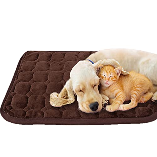 qing yun Hundebett / Haustierkissen, waschbar, beruhigend, für Käfige, gegen Angst, selbstkühlende Matte für kleine, mittelgroße und große Hunde und Katzen (30 x 36 cm, braun) von qing yun