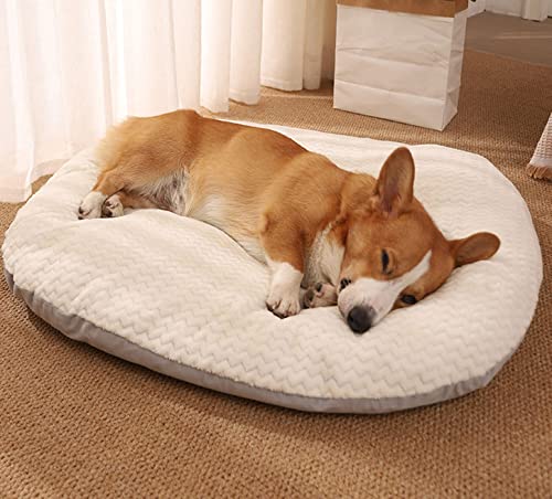 qing yun Ovale Hundebett-Matratze, beruhigendes XL-Hundebett, mittelgroß, waschbar, weich, warmes Welpenbett, Kissen für kleine, mittelgroße und große Hunde, Katzen (XL, Weiß) von qing yun