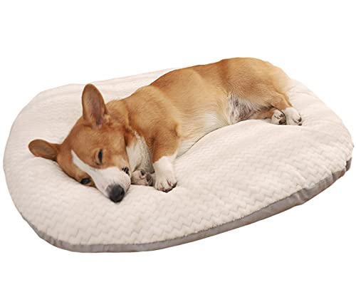 qing yun Ovales Hundekissen, groß, bequem, beruhigend, XL-Hundebett, waschbar, weich, warm, für Hunde und Katzen (L 75 x 60 cm) qing yun Ovales Hundekissen, groß, bequem, beruhigend, XL-Hundebett, waschbar, weich, warm, für Hunde und Katzen (L 75 x 60 cm) von qing yun