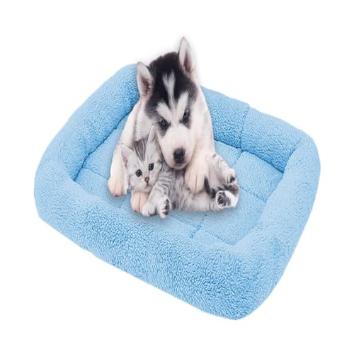 qing yun Weiches Hunde- und Katzenkissen, Fleece-Hundekissen, Haustierbett, rutschfest, für Welpen, Katzen, waschbar, Größe S 40 x 27 cm, Blau qing yun Weiches Hunde- und Katzenkissen, Fleece-Hundekissen, Haustierbett, rutschfest, für Welpen, Katzen, waschbar, Größe S 40 x 27 cm, Blau von qing yun