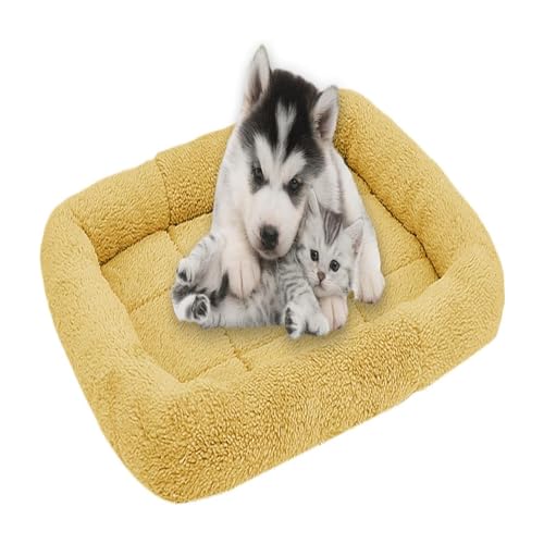 qing yun Weiches Hundebett, Fleece, für Hunde und Katzen, rutschfest, für Welpen, Katzen, Hunde, 70 x 55 cm, Beige von qing yun