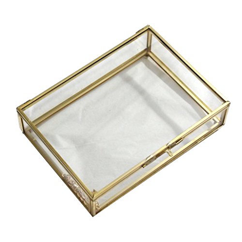 qiuqiu Transparente Glasbox für geometrische Schmuckpflanzen von qiuqiu