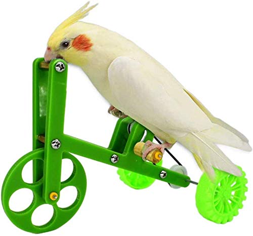 qiuqiu Vogelspielzeug Papageienspielzeug Fahrradspielzeug Kauspielzeug Nymphensittiche Aras Finken Mynah von qiuqiu