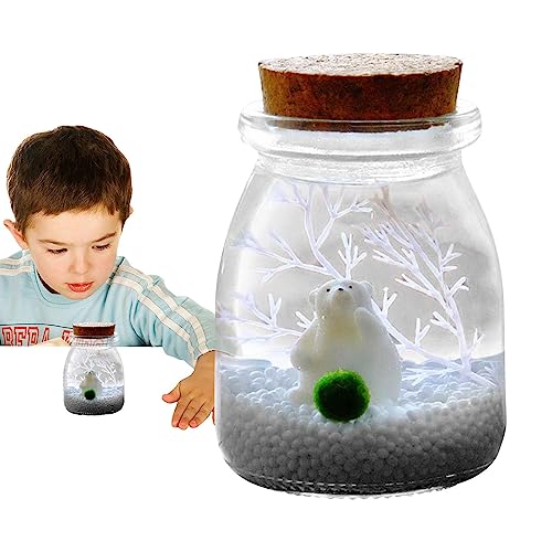 Glas-Terrariumbehälter mit Korken - Glas-Pflanzgefäß Gefäß Vase für Luftpflanzen | Glasvase mit Feengarten-Zubehör, Landschaftsornamente für Luftpflanzen, Sukkulenten, Mooskugeln, Qiyifang von qiyifang