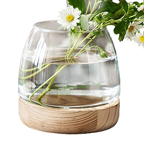 Hydrokultur-Vase, transparente Vase mit Holzsockel, Glas-Hydrokulturvase, ökologisches Aquarium, Blumenvase für Tafelaufsatz, Büro Qiyifang von qiyifang