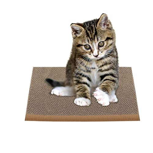 qiyifang Katzenkratzbaum | Whack-a-Mole Katzenspielzeug Kratzpolster aus Karton | Rundes Katzenbrett zum Schlafen kleiner Kätzchen von qiyifang