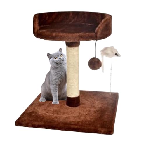 qiyifang Kleiner Katzenturm, niedlicher Kratzturm, -Katzenbäume mit interaktivem Spielzeug und Katzen-Selbstpfleger, Kätzchen und Katzen, die klettern und spielen von qiyifang