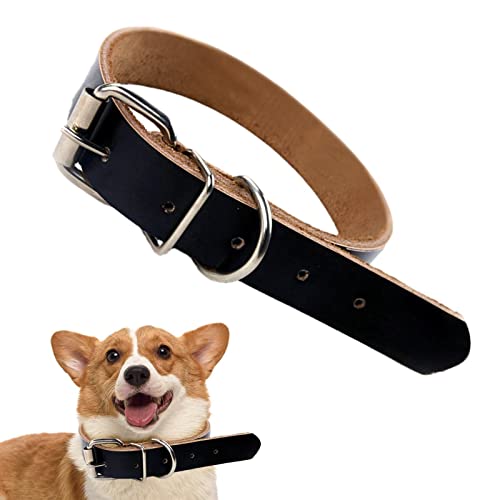 qiyifang Lederhalsband für Hunde | Verstellbares mittelgroßes Hundehalsband mit Schnalle | Haustier-Hundehalsbänder für den täglichen Gehen, Training und Outdoor-Sportarten von qiyifang