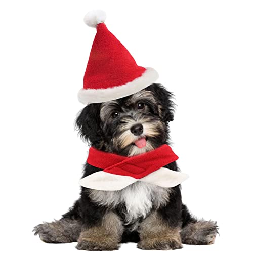qiyifang Weihnachtsmütze für Hunde und Hunde, Haustierkostüm für Halloween, Katzen, kleine Hunde, Weihnachtsmütze, Weihnachtsmütze, Weihnachtsmütze, Weihnachtsmütze für kleine, mittelgroße und große von qiyifang