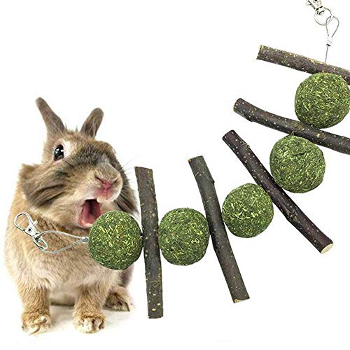 quanjucheer Leckerli-Spielzeug für Kaninchen, Hamster, Snacks, Kaustab, Apfelbaum mit Grasball, Leckerli-Zahnreinigung von quanjucheer