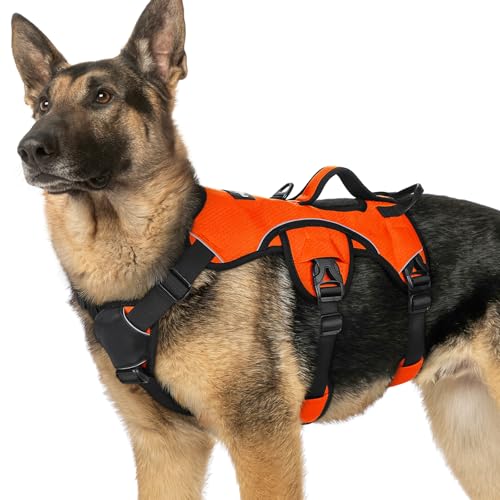 rabbitgoo Ausbruchsichere Hundegeschirr Grosse Hunde mit Griff, Anti Zug Sicherheitsgeschirr Hund Atmungsaktiv, Verstellbare Brustgeschirr, Gepolstertem Hundegeschirr Groß, Panikgeschirr, Orange XL rabbitgoo Ausbruchsichere Hundegeschirr Grosse Hunde mit Griff, Anti Zug Sicherheitsgeschirr Hund Atmungsaktiv, Verstellbare Brustgeschirr, Gepolstertem Hundegeschirr Groß, Panikgeschirr, Orange XL von rabbitgoo