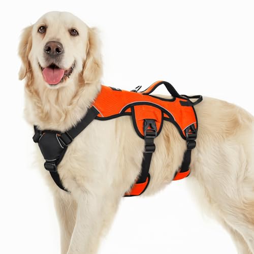 rabbitgoo Ausbruchsichere Hundegeschirr Grosse Hunde mit Griff, Anti Zug Sicherheitsgeschirr Hund Atmungsaktiv, Verstellbare Brustgeschirr, Gepolstertem Hundeweste, Panikgeschirr, Orange L rabbitgoo Ausbruchsichere Hundegeschirr Grosse Hunde mit Griff, Anti Zug Sicherheitsgeschirr Hund Atmungsaktiv, Verstellbare Brustgeschirr, Gepolstertem Hundeweste, Panikgeschirr, Orange L von rabbitgoo