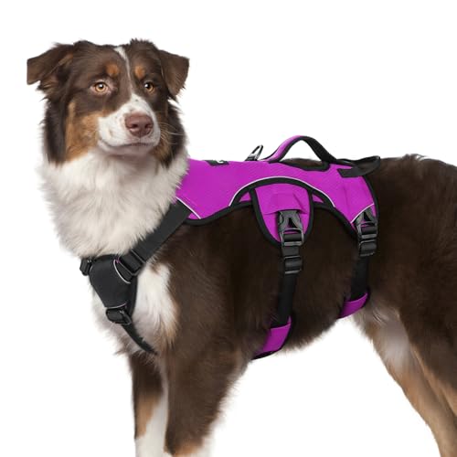 rabbitgoo Ausbruchsichere Hundegeschirr Mittelgroße Hunde mit Große Griff, Anti Zug Sicherheitsgeschirr Hund Atmungsaktiv, Verstellbare Brustgeschirr, Gepolstertem Hundeweste, Panikgeschirr, Lila M rabbitgoo Ausbruchsichere Hundegeschirr Mittelgroße Hunde mit Große Griff, Anti Zug Sicherheitsgeschirr Hund Atmungsaktiv, Verstellbare Brustgeschirr, Gepolstertem Hundeweste, Panikgeschirr, Lila M von rabbitgoo