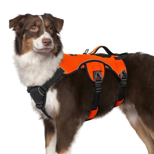 rabbitgoo Ausbruchsichere Hundegeschirr Mittelgroße Hunde mit Große Griff, Anti Zug Sicherheitsgeschirr Hund Atmungsaktiv, Verstellbare Brustgeschirr, Gepolstertem Hundeweste, Panikgeschirr, Orange M rabbitgoo Ausbruchsichere Hundegeschirr Mittelgroße Hunde mit Große Griff, Anti Zug Sicherheitsgeschirr Hund Atmungsaktiv, Verstellbare Brustgeschirr, Gepolstertem Hundeweste, Panikgeschirr, Orange M von rabbitgoo
