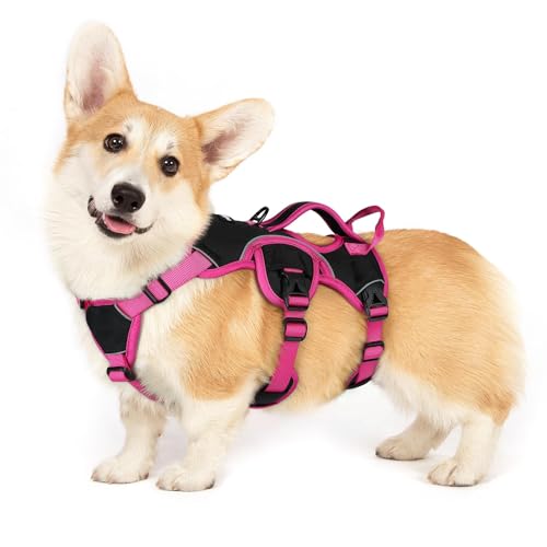 rabbitgoo Ausbruchsicheres Hundegeschirr Kleine Hunde mit Griff, Anti Zug Sicherheitsgeschirr Hund Atmungsaktiv, Verstellbare Brustgeschirr, Gepolstertem Hundeweste, Panikgeschirr, Schwarz & Rosa S rabbitgoo Ausbruchsicheres Hundegeschirr Kleine Hunde mit Griff, Anti Zug Sicherheitsgeschirr Hund Atmungsaktiv, Verstellbare Brustgeschirr, Gepolstertem Hundeweste, Panikgeschirr, Schwarz & Rosa S von rabbitgoo