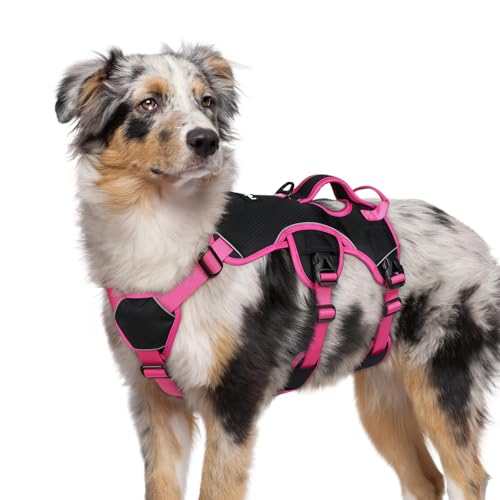 rabbitgoo Ausbruchsicheres Hundegeschirr Mittelgroße Hunde Griff, Anti Zug Sicherheitsgeschirr Hund Atmungsaktiv, Verstellbare Brustgeschirr, Gepolstertem Hundeweste, Panikgeschirr, Schwarz & Rosa M von rabbitgoo