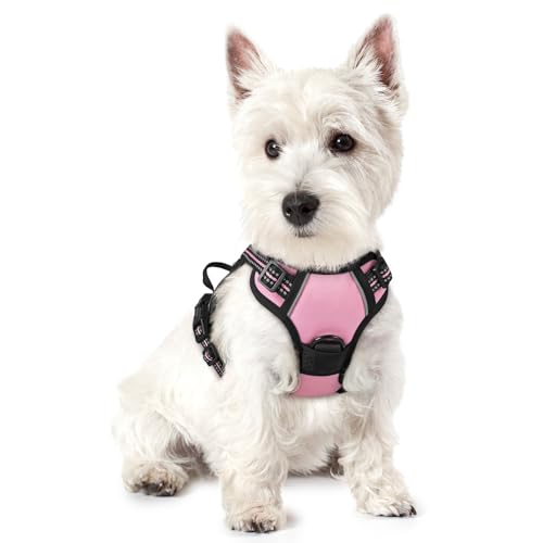 rabbitgoo Hundegeschirr Kleine Hunde, Anti Zug Geschirr mit Kontrolle, No Pull Verstellbar Hundegeschirr Grosse Hunde, Atmungsaktiv Reflexstreifen Brustgeschirr Sichere Führung Rosa XS rabbitgoo Hundegeschirr Kleine Hunde, Anti Zug Geschirr mit Kontrolle, No Pull Verstellbar Hundegeschirr Grosse Hunde, Atmungsaktiv Reflexstreifen Brustgeschirr Sichere Führung Rosa XS von rabbitgoo
