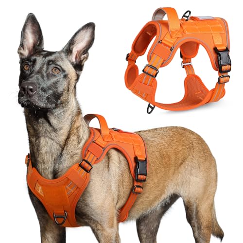 rabbitgoo Hundegeschirr Grosse Hunde, Anti Zug Geschirr Hund Verstellbar mit Griffe Verbreitert, Robust und Verschleißfest, Taktisches Hundegeschirr mit Metallschnallen zum Wandern(L, Orange) von rabbitgoo