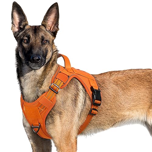 rabbitgoo Hundegeschirr Grosse Hunde, Anti Zug Geschirr Hund Verstellbar mit Griffe Verbreitert, Robust und Verschleißfest, Taktisches Hundegeschirr mit Metallschnallen zum Wandern(XL, Orange) von rabbitgoo